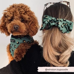 Khaki Leopard Adjustable Neck Harness, Lead & Collar Bundle -Cocopup London 6 4c405e0b d030 4fe7 859f b98f120ca866