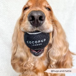 Tennis Ball - Midnight Black -Cocopup London 6 5ff15bb2 17ae 4b9d 96cb 43f88212a43f