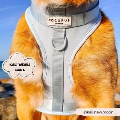 NAKD Adjustable Neck Harness - Bubblegum -Cocopup London 6 803e88d3 3879 4d63 99f5 021fbb9b3cbf