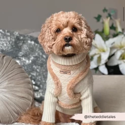 Quilted Adjustable Neck Harness, Lead & Collar Bundle -Cocopup London 6 8719ec62 f09f 4d93 9627 b47c16953e12