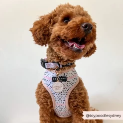 Dog Collar Charm - Cocopup Crew -Cocopup London 6 893712d5 4f3d 4c25 be35 c911513a79dc