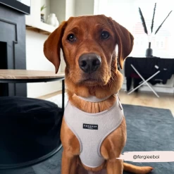 Brown Tweed Adjustable Neck Harness, Lead & Collar Bundle -Cocopup London 6 b4e05175 1145 4f2e 8212 3a1d10758b43