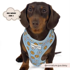 Smiley Pawty Tent Adjustable Neck Harness -Cocopup London 6 d5652911 69e2 463d 9aa8 abe3c1ce9285