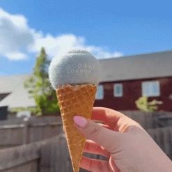 Tennis Ball Bundle - Salted Caramel, Pistachio, Strawberry -Cocopup London 6 df0a02d8 5933 475a b6dc 7c2b8c6486d6