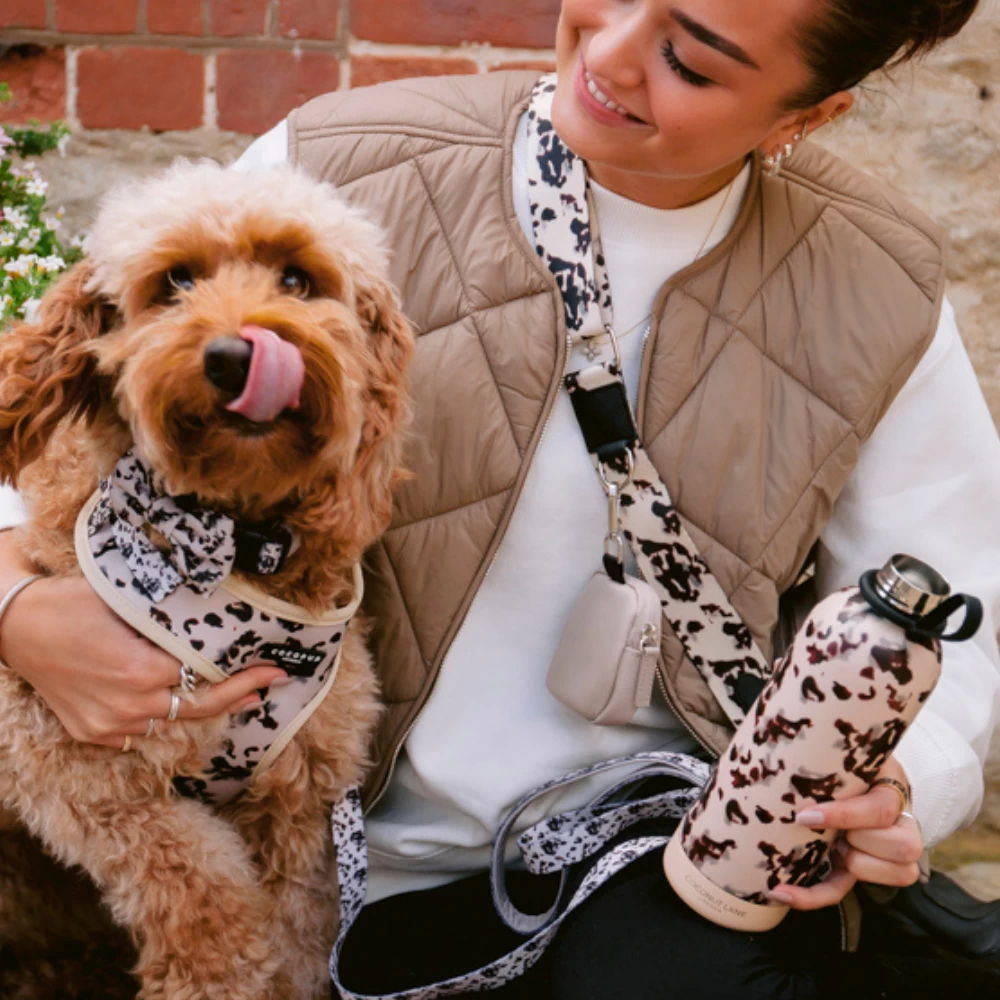 Ivory Tort Adjustable Neck Harness, Lead & Collar Bundle 7 Ivory Tort Adjustable Neck Harness, Lead & Collar Bundle - Image 5