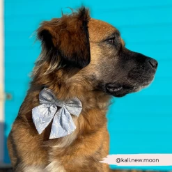 Luxe Sailor Bow Tie - Baby Blue Flower -Cocopup London 74 9858d2cc 8525 4581 be57 ef2fb46ef092