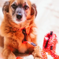 Drawstring Treat Pouch - Red & Pink Leopard -Cocopup London 7 2463cb12 8982 42e4 96f6 f6ed475a9dd1