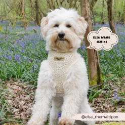 Festival Crochet Adjustable Neck Harness, Lead & Collar Bundle -Cocopup London 7 58ca1784 e022 4fcb 8410 6b9af7b003a6