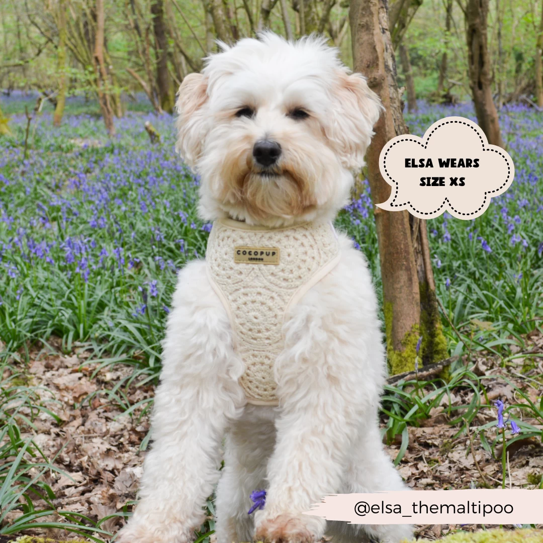 Festival Crochet Adjustable Neck Harness 15 Festival Crochet Adjustable Neck Harness - Image 13