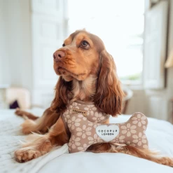 Mocha Flower Bone Toy -Cocopup London 7 8cdbbd35 a222 4365 b7d5 9a7ce55a912d