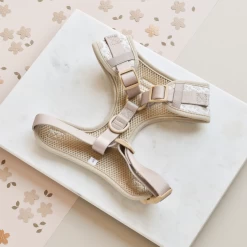 Luxe Adjustable Neck Harness - Garden Meadow -Cocopup London 7 b9ffd5dd 3102 4e3e ae0d daaa47730778