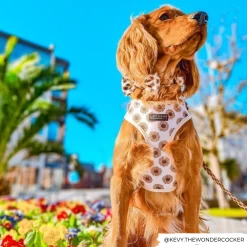 Sunflowers Collar -Cocopup London 7 cc2d6fa5 5afb 4d98 af15 c1501aa0bae1