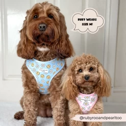 Smiley Pawty Tent Adjustable Neck Harness -Cocopup London 7 dcfbfda7 1098 490b b96d 2011a529ace4