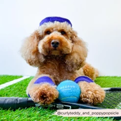 Tennis Ball - Bright Blue -Cocopup London 7 edad08e2 68c2 45da a829 52f337122498