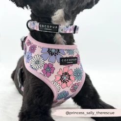 Pastel Flowers Collar -Cocopup London 7 f77868de 9ea4 44ed ac59 3ea0ff986de4
