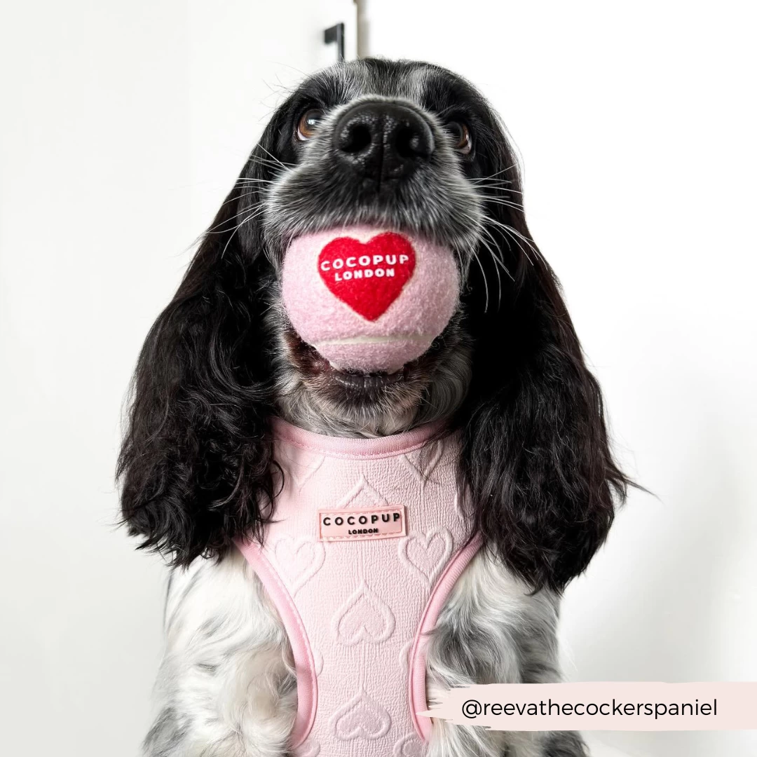 Tennis Ball - Pink & Red Heart 6 Tennis Ball - Pink & Red Heart - Image 4