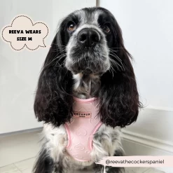 Luxe Adjustable Neck Harness - Baby Pink Heart -Cocopup London 86