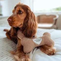 Teddy Rupert Bone Toy -Cocopup London 8 18afd28d ecfd 4a5d a4e6 52581854101f