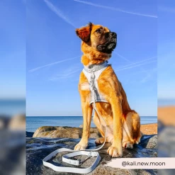 NAKD Lead - Bubblegum -Cocopup London 8 21df250a 4610 43b8 82fd e146d789c221