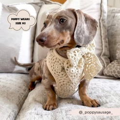 Festival Crochet Adjustable Neck Harness 35 Festival Crochet Adjustable Neck Harness -Cocopup London 8 8b92b85b b5d9 40c3 b21a 40738a4162e7