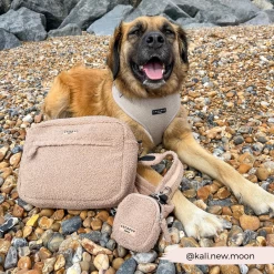 Large Teddy Rupert Dog Walking Bag Bundle - Teddy Rupert -Cocopup London 8 927f2d88 a626 47c8 961e f763414f8a7e