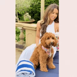 Portofino Pup Adjustable Neck Harness -Cocopup London 8 bd1220f4 355b 426c 9f5b 8665ac4684a4