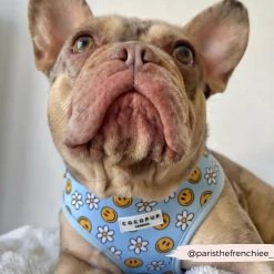 Smiley Pawty Tent Adjustable Neck Harness -Cocopup London 8 c0173222 10e4 41d5 9be1 a9b8a5c2066c