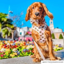 Sunflowers Bow Tie -Cocopup London 8 c28da372 005c 4035 bbfe d975db597eb1