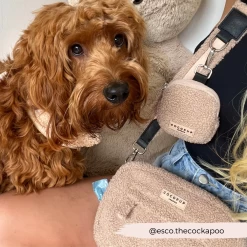 Teddy Rupert Dog Walking Bag Bundle - Teddy Rupert -Cocopup London 8 cc3eabb4 58d7 4b43 bfbe 427a4ebcb5b9
