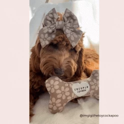 Mocha Flower Bone Toy -Cocopup London 8 ed95c0ef 4dee 4288 ac89 3c0cc4374b3c