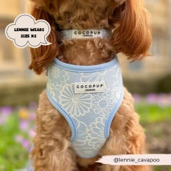 Luxe Baby Blue Flower Adjustable Neck Harness, Lead & Collar Bundle -Cocopup London 96 592b567d 65b6 4703 8a1e 4714b539f070