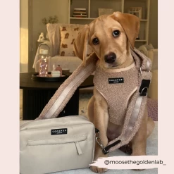 Teddy Bag Strap - Rupert -Cocopup London 96 d1f7e57c c763 40f1 8c05 c104613744dc