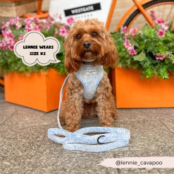 Luxe Adjustable Neck Harness - Baby Blue Flower -Cocopup London 97 756b27bf 6e07 4d45 9e00 d5d34935e80e