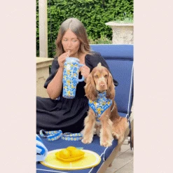 Amalfi Lemon Adjustable Neck Harness, Lead & Collar Bundle -Cocopup London 9 5b942b9c e9f9 4eee a0f7 18bdbffeb572