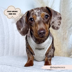 Festival Crochet Adjustable Neck Harness, Lead & Collar Bundle -Cocopup London 9 7008275a e7a2 4f57 be11 50f949544096