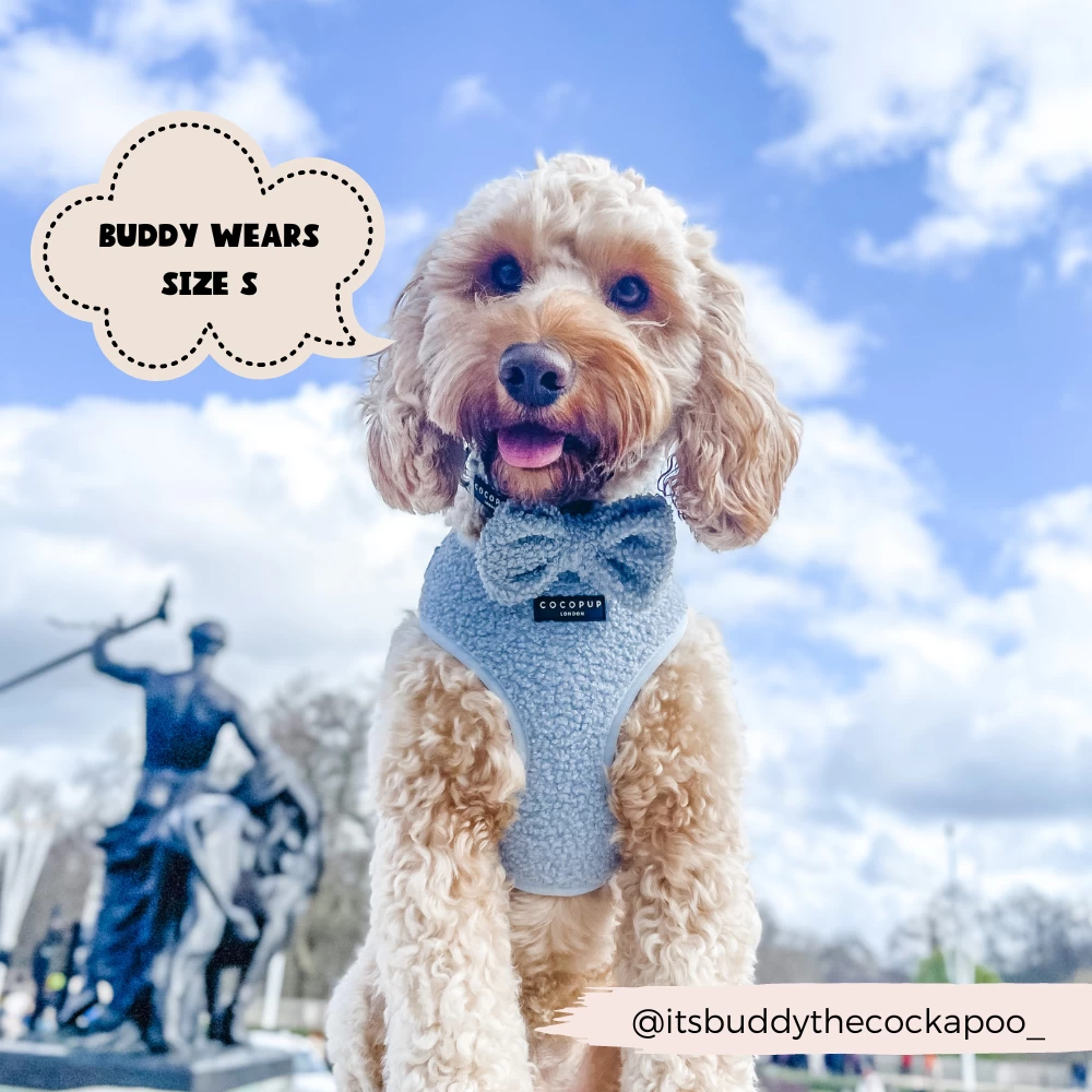 Teddy Daydream Adjustable Neck Harness, Lead & Collar Bundle 8 Teddy Daydream Adjustable Neck Harness, Lead & Collar Bundle - Image 6