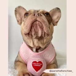 Tennis Ball - Pink & Red Heart 16 Tennis Ball - Pink & Red Heart -Cocopup London 9 f551a363 e8d1 4909 a90c e9a61de59f31