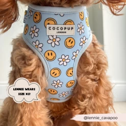 Smiley Pawty Tent Adjustable Neck Harness -Cocopup London 9 f5c2ced4 50cf 40a2 8452 64a9d6fdaa15