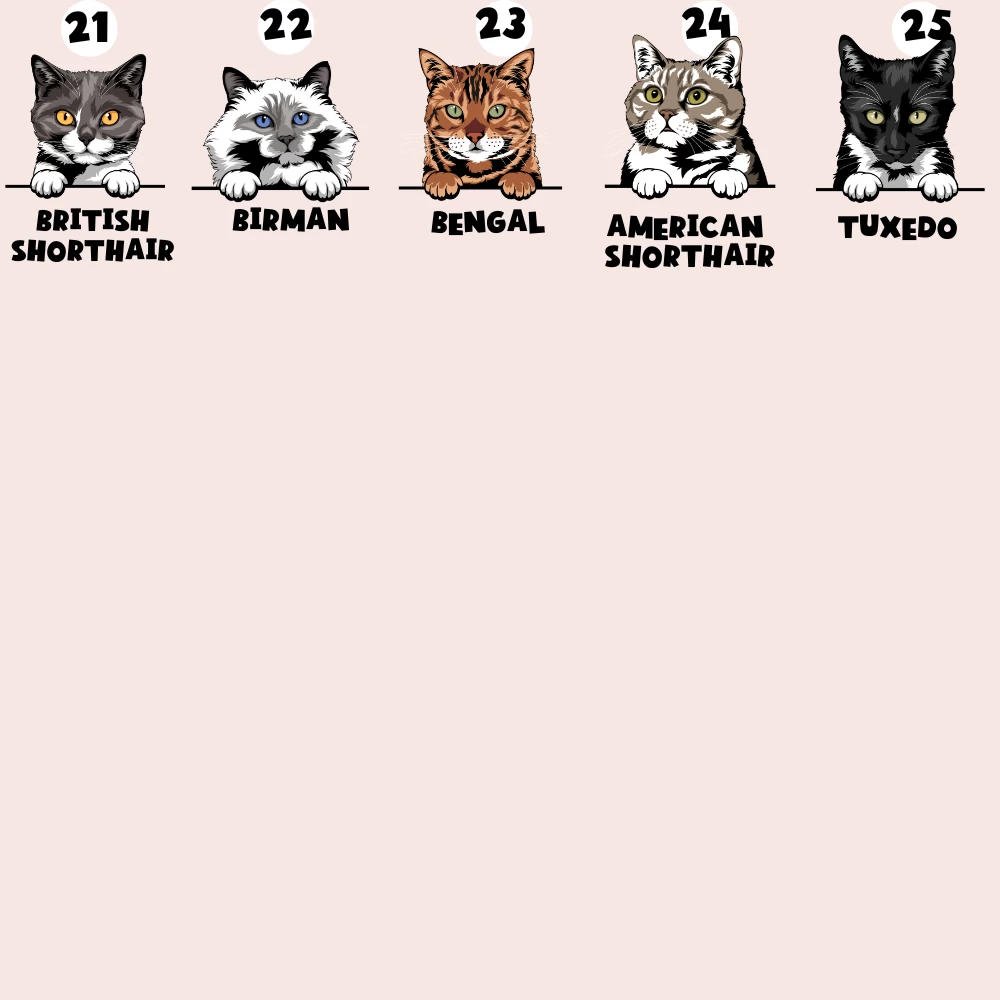 Personalised Cat Cartoon ID Tag - Black Leopard 7 Personalised Cat Cartoon ID Tag - Black Leopard - Image 5