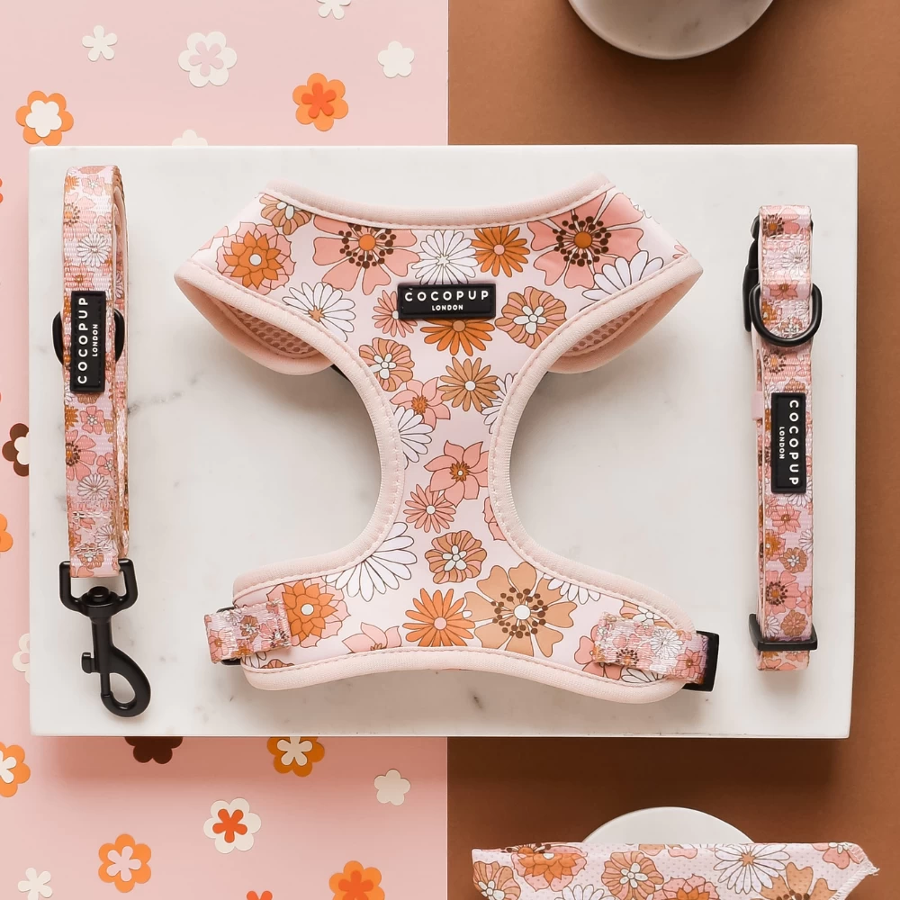 Groovy Florals Adjustable Neck Harness, Lead & Collar Bundle 3 Groovy Florals Adjustable Neck Harness, Lead & Collar Bundle