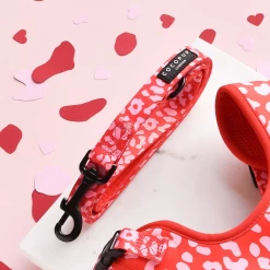 Red & Pink Leopard Adjustable Neck Harness, Lead & Collar Bundle 21 Red & Pink Leopard Adjustable Neck Harness, Lead & Collar Bundle -Cocopup London COCONUTLANE 84 1800x1800 f8d11398 2e73 4a4e 92aa 2f5a54a53c62