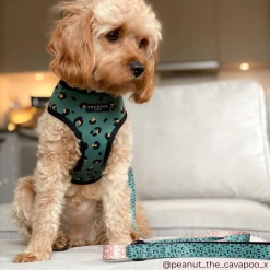 Khaki Leopard Lead -Cocopup London COCOPUPWEBSITE 1 bd680e03 69e0 4c13 9bb0 6904ebe34be4