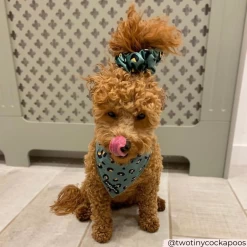 Khaki Leopard Bandana -Cocopup London COCOPUPWEBSITE 4 5618a815 fd2e 4c3d ace9 4ec5cf2348ad