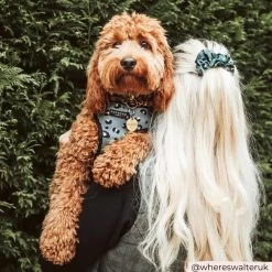 Khaki Leopard Adjustable Neck Harness, Lead & Collar Bundle -Cocopup London COCOPUPWEBSITE 7 1800x1800 22784a39 55e4 4172 a16e 03feaf3bb953