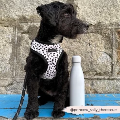 Monochrome Spots Adjustable Neck Harness, Lead & Collar Bundle -Cocopup London CocopupWebsite 13 f48d46d1 2ee5 4e1c 9eb5 f9085b1a899c