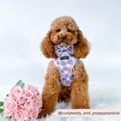 Pastel Flowers Bow Tie -Cocopup London CocopupWebsite 17
