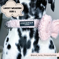 Teddy Collar - Love-a-Lot -Cocopup London CocopupWebsite 2 a371c949 c6b8 46b5 8e0e c25ad923f0ad