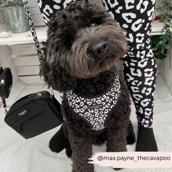 Black Leopard Adjustable Neck Harness -Cocopup London CocopupWebsite 3 6c7fb47a 2532 4676 96f9 01f29c2824b3