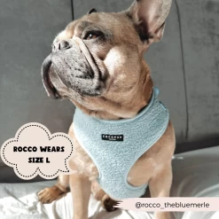 Teddy Daydream Adjustable Neck Harness, Lead & Collar Bundle 24 Teddy Daydream Adjustable Neck Harness, Lead & Collar Bundle -Cocopup London CocopupWebsite 4 8dfb7313 bec7 4a3c 9c98 d6f8c319821d