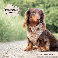 Luxe Mocha Flower Adjustable Neck Harness, Lead & Collar Bundle -Cocopup London CocopupWebsite 5 ceff3605 0551 447d afbe 9e83d953ccef